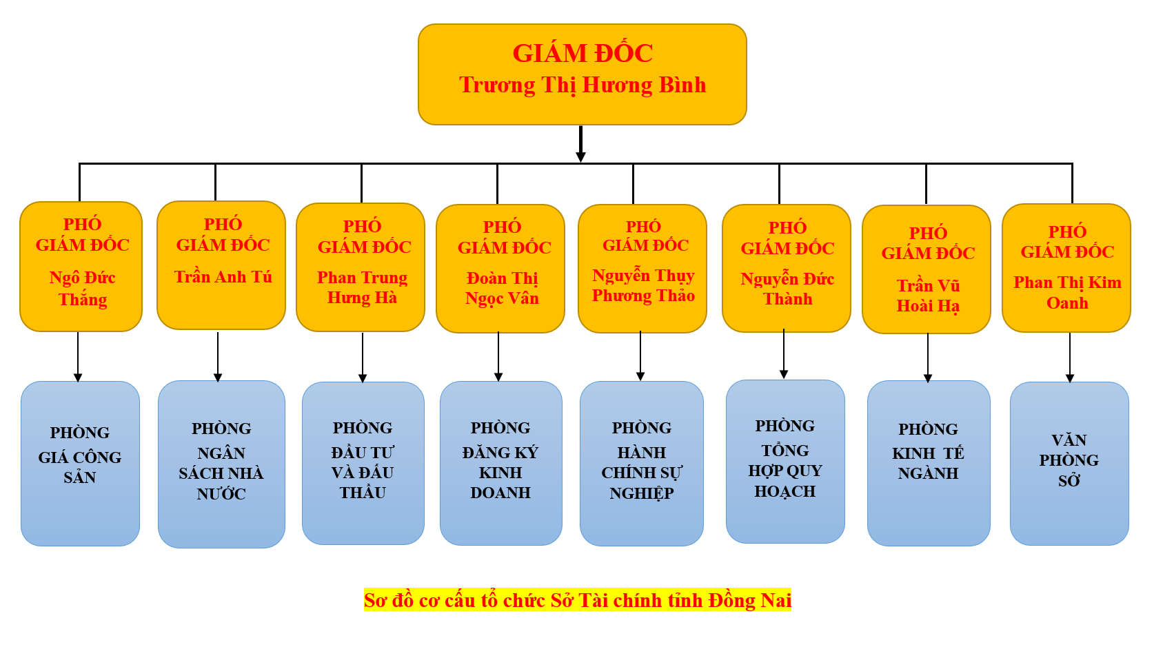 SỞ ĐỒ TỔ CHỨC.png